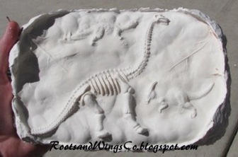 rootsandwingshomemadefossils