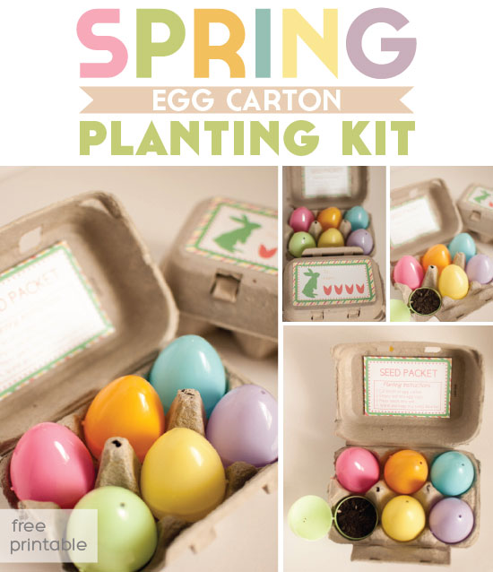 Spring Planting Kit (Egg Carton Printable)